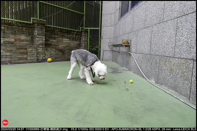 【開箱】Leica SL3 10607，新增 【SL3 韌體更新 V1.1.9 修正檔案意外覆寫錯誤】