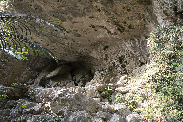 點我看大圖 假日半日遊-高雄柴山O型縱走
