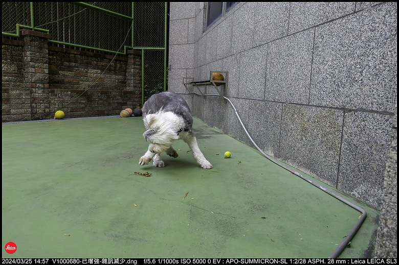 【開箱】Leica SL3 10607，新增 【SL3 韌體更新 V1.1.9 修正檔案意外覆寫錯誤】
