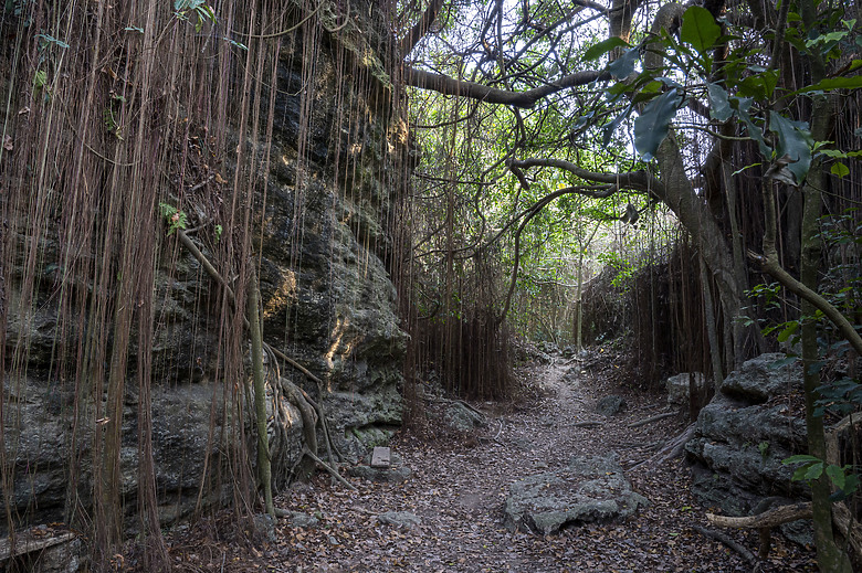點我看大圖 假日半日遊-高雄柴山O型縱走