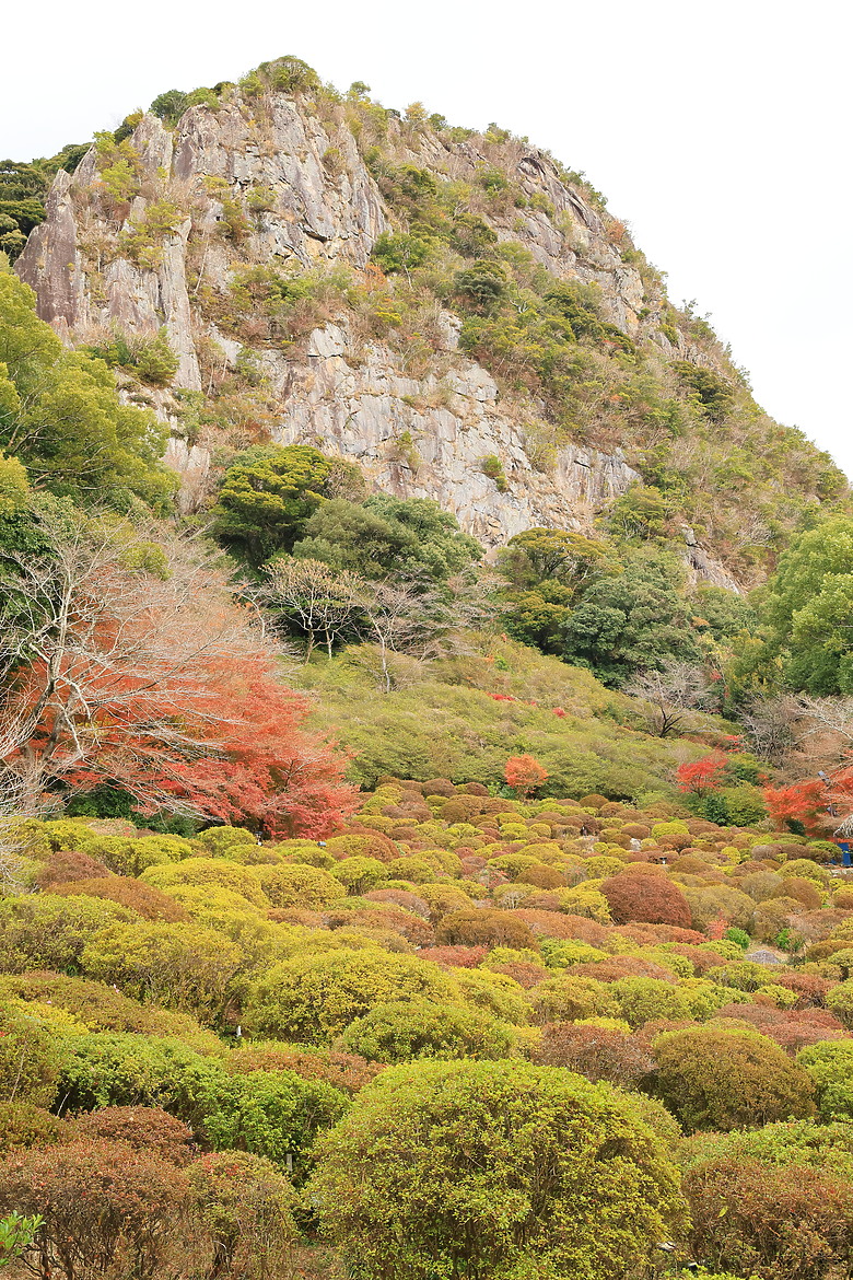 (映像旅行) 與可愛虎將一起大啖和牛賞楓紅in日本佐賀 feat.台灣虎航