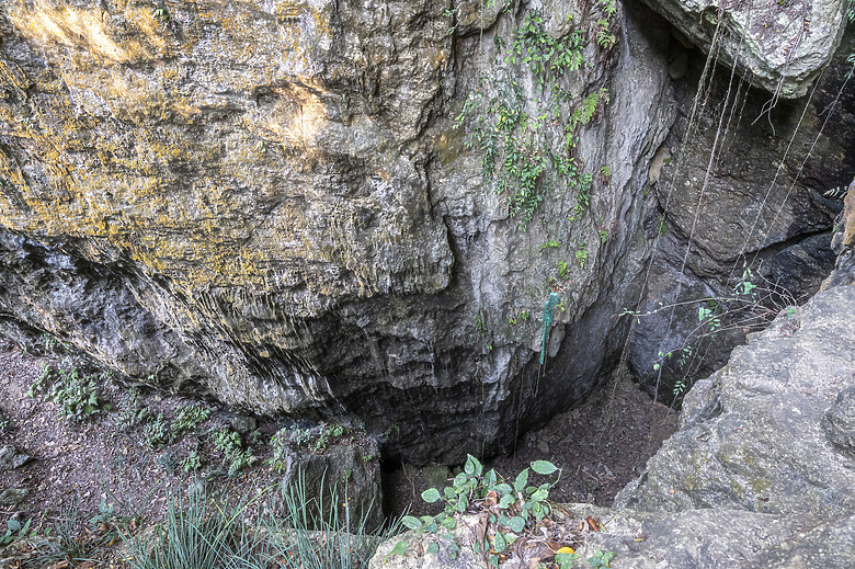 點我看大圖 假日半日遊-高雄柴山O型縱走