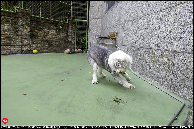 【開箱】Leica SL3 10607，新增 【SL3 韌體更新 V1.1.9 修正檔案意外覆寫錯誤】