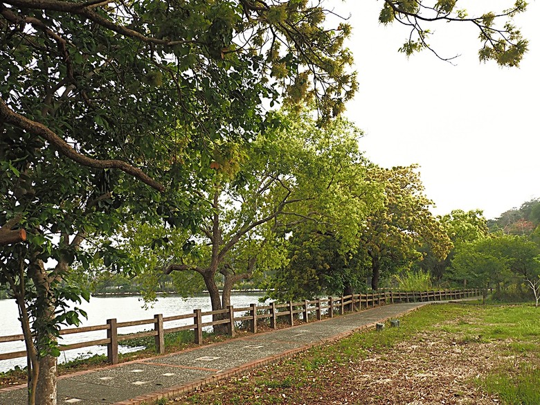 峨眉湖步道、細茅埔吊橋、富興老街、大自然文化世界、世界幸福咖啡總店-快樂咖啡坊，外掛關西一銀麵 — 浪漫臺三線之新竹峨眉湖半日行旅