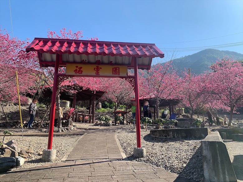 點我看大圖 免費賞櫻小秘境