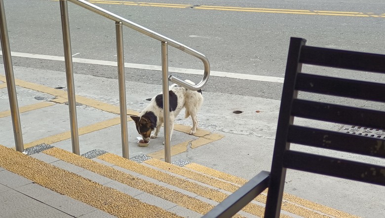 【浪旅環島送禮】環島一千五百公里 Part2