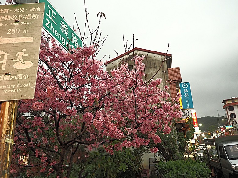 峨眉湖步道、細茅埔吊橋、富興老街、大自然文化世界、世界幸福咖啡總店-快樂咖啡坊,外掛關西一銀麵 — 浪漫臺三線之新竹峨眉湖半日行旅