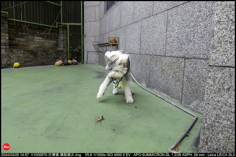 【開箱】Leica SL3 10607，新增 【SL3 韌體更新 V1.1.9 修正檔案意外覆寫錯誤】