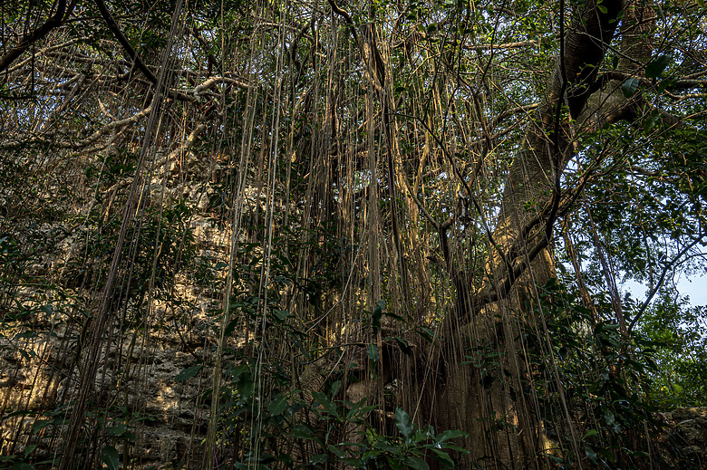 點我看大圖 假日半日遊-高雄柴山O型縱走