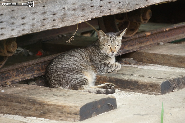 【旅行】平溪半日遊SONY NEX-7 + SEL18200