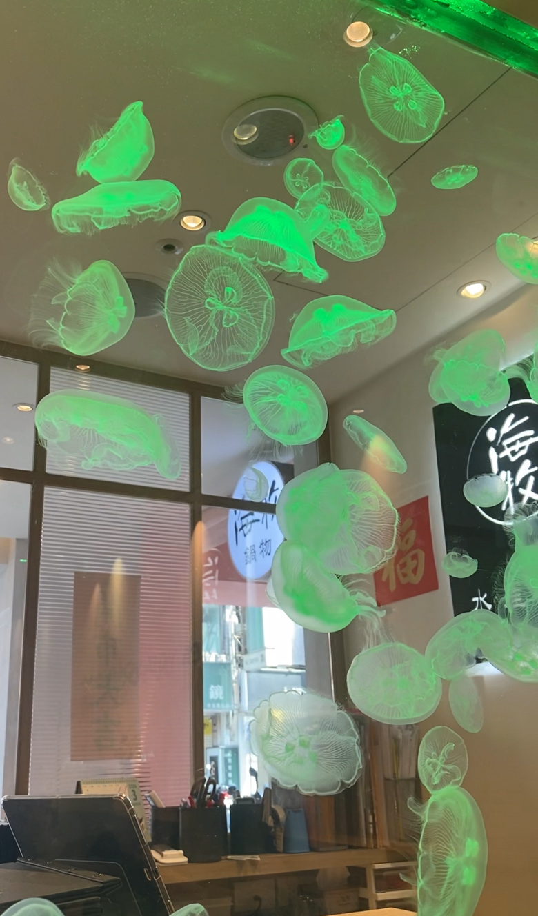 視覺與味覺的雙重享受-海牧水產鍋物