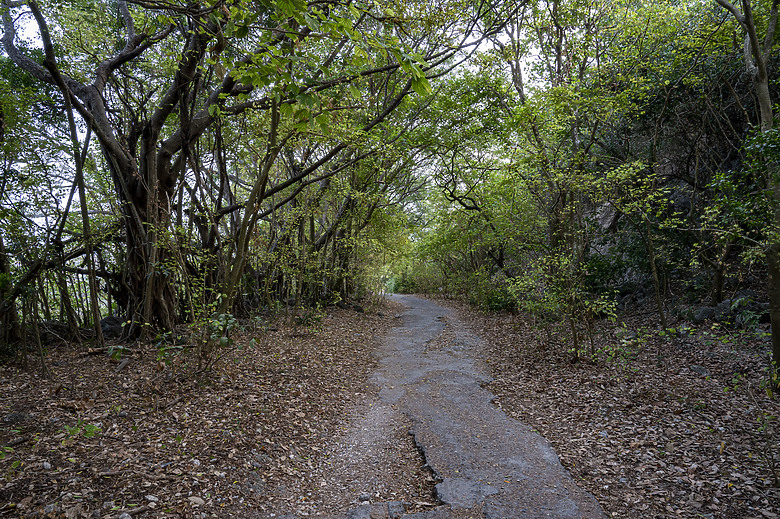 點我看大圖 假日半日遊-高雄柴山O型縱走