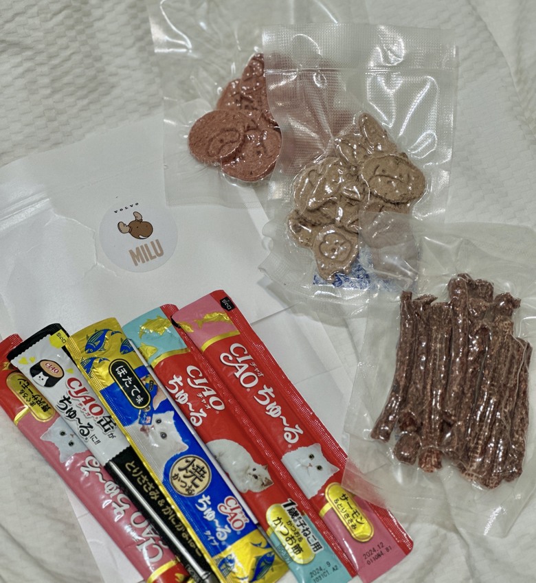 MILU寵物夜行，毛孩的道路安全值得被注意🐕