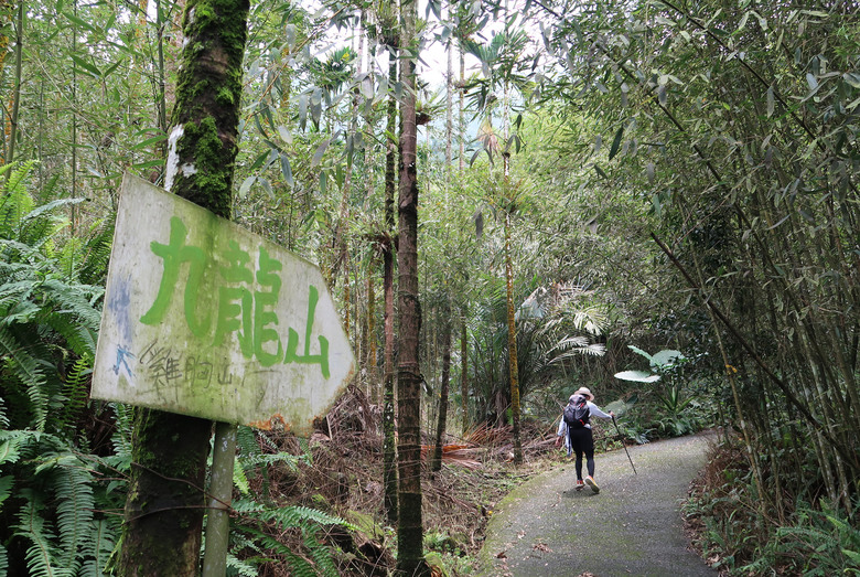 點我看大圖 【九凍雞縱走】這隻雞有夠嗆辣 | 九龍山 | 大凍山 | 雞籠山 |