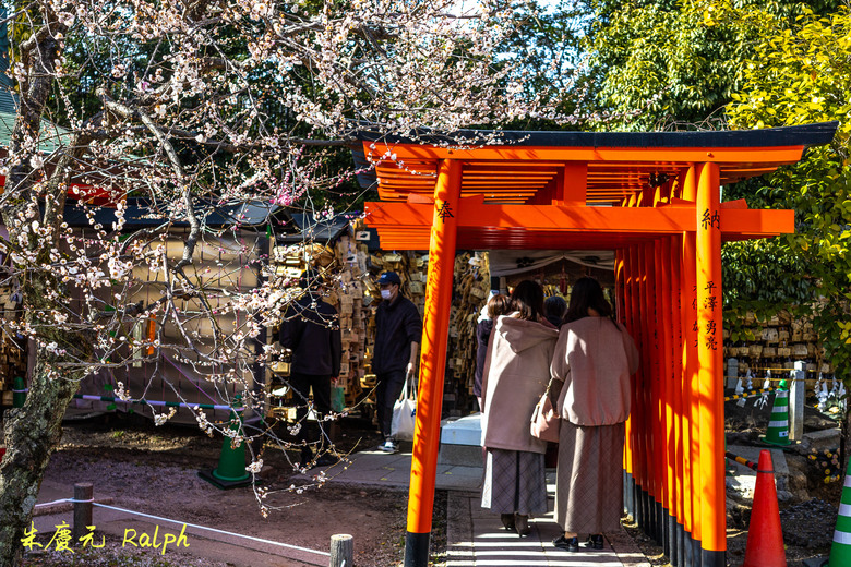我的 R8+RF 24-50mm