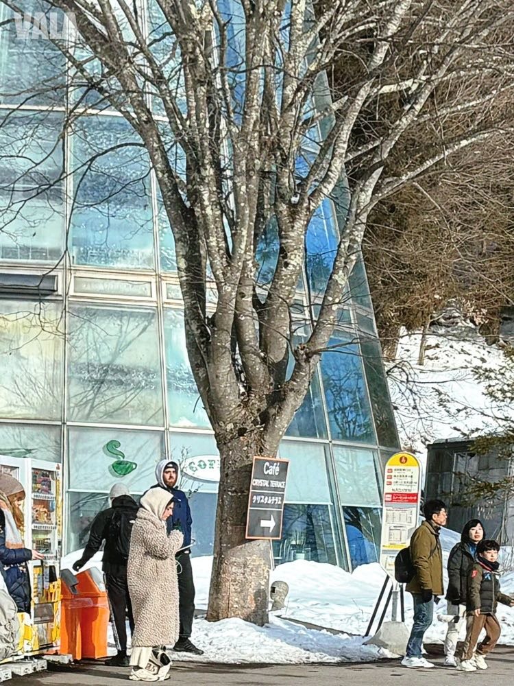 地獄谷野苑公苑。看雪猴泡湯泡溫泉真的好療癒。最淺顯易懂交通攻略