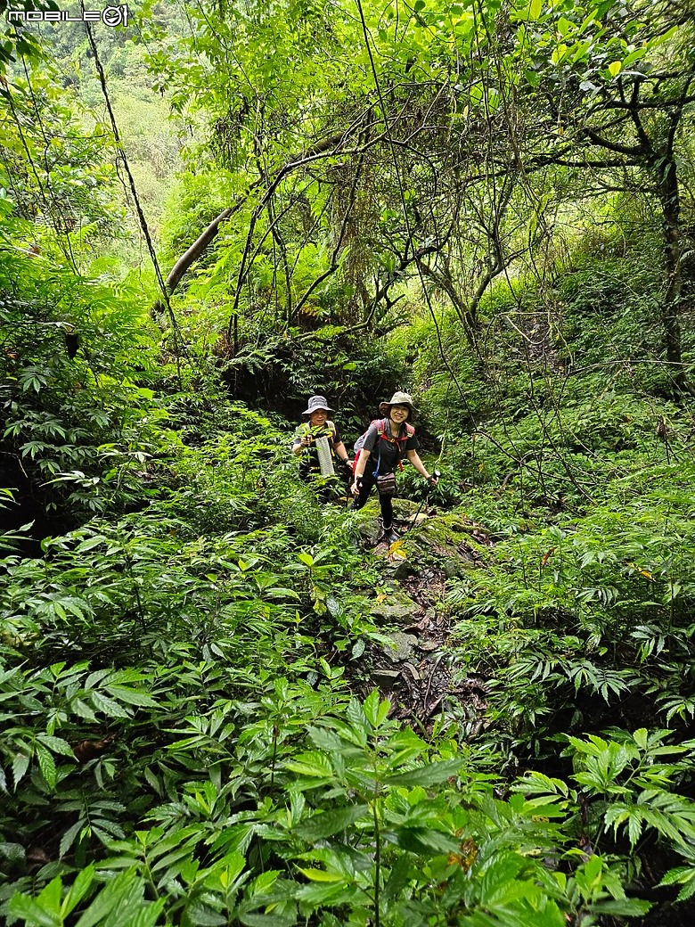 宜蘭古魯林道之大元國小。原始山徑二訪。