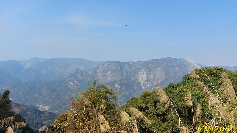 奮起湖的小百岳國家森林步道 大凍山