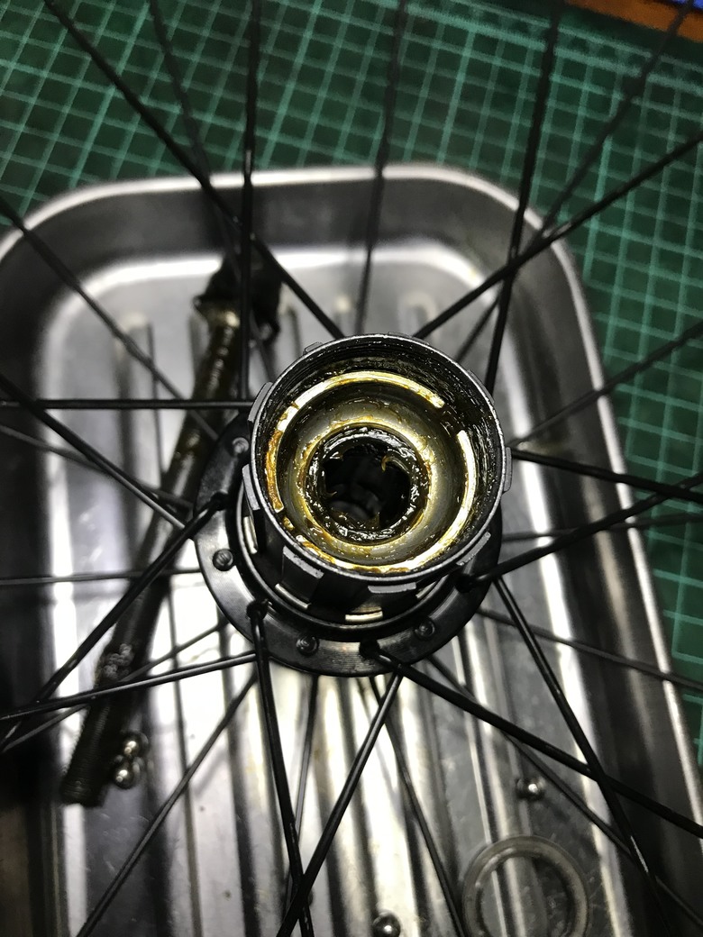 點我看大圖 Dahon 穢土轉身 車子都是該適當的保養與整理