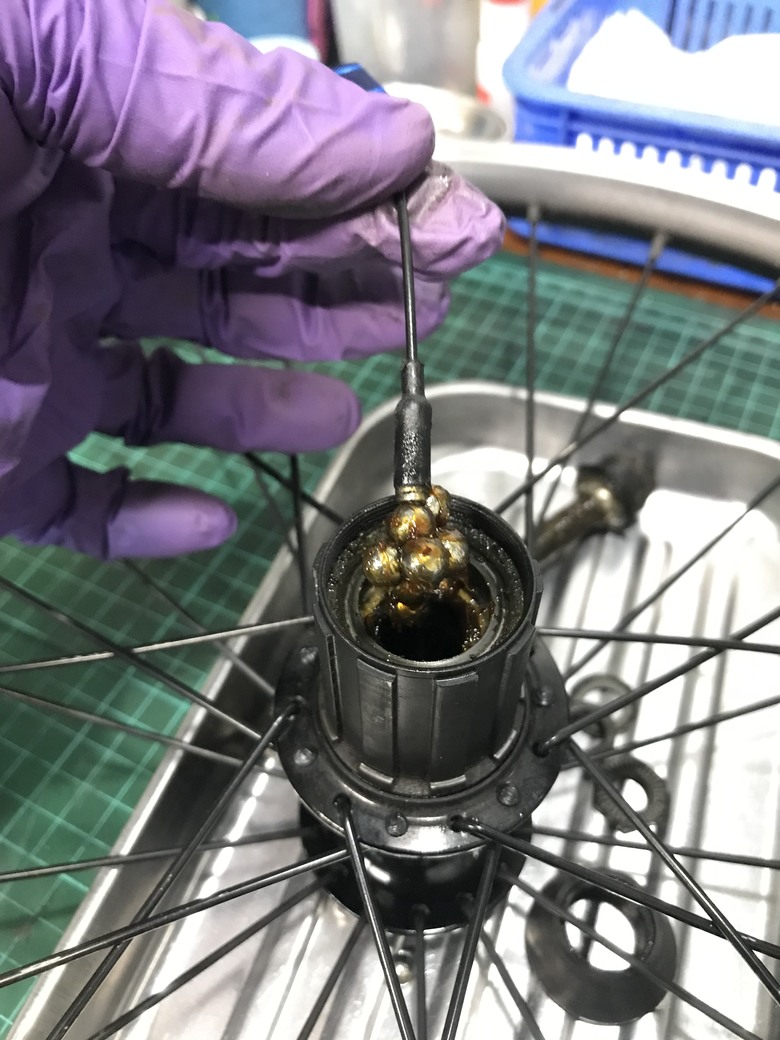 點我看大圖 Dahon 穢土轉身 車子都是該適當的保養與整理
