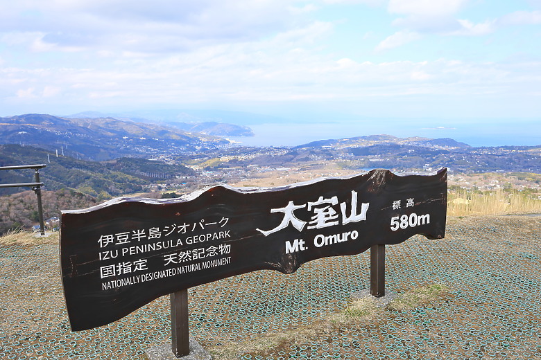 (映像旅行) 到伊豆半島賞河津櫻、看水豚君泡溫泉in日本熱海、伊東、河津 feat. Canon EOS R6 Mark II