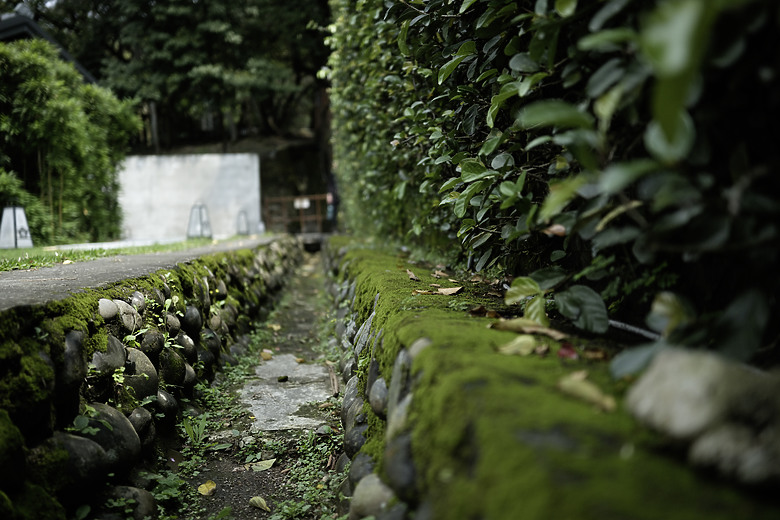 久違的台灣 《Fujifilm X-T5, 23&56 2代》