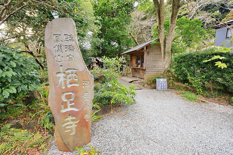 (映像旅行) 到伊豆半島賞河津櫻、看水豚君泡溫泉in日本熱海、伊東、河津 feat. Canon EOS R6 Mark II