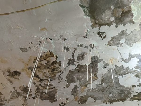 漏水狀況請教大家