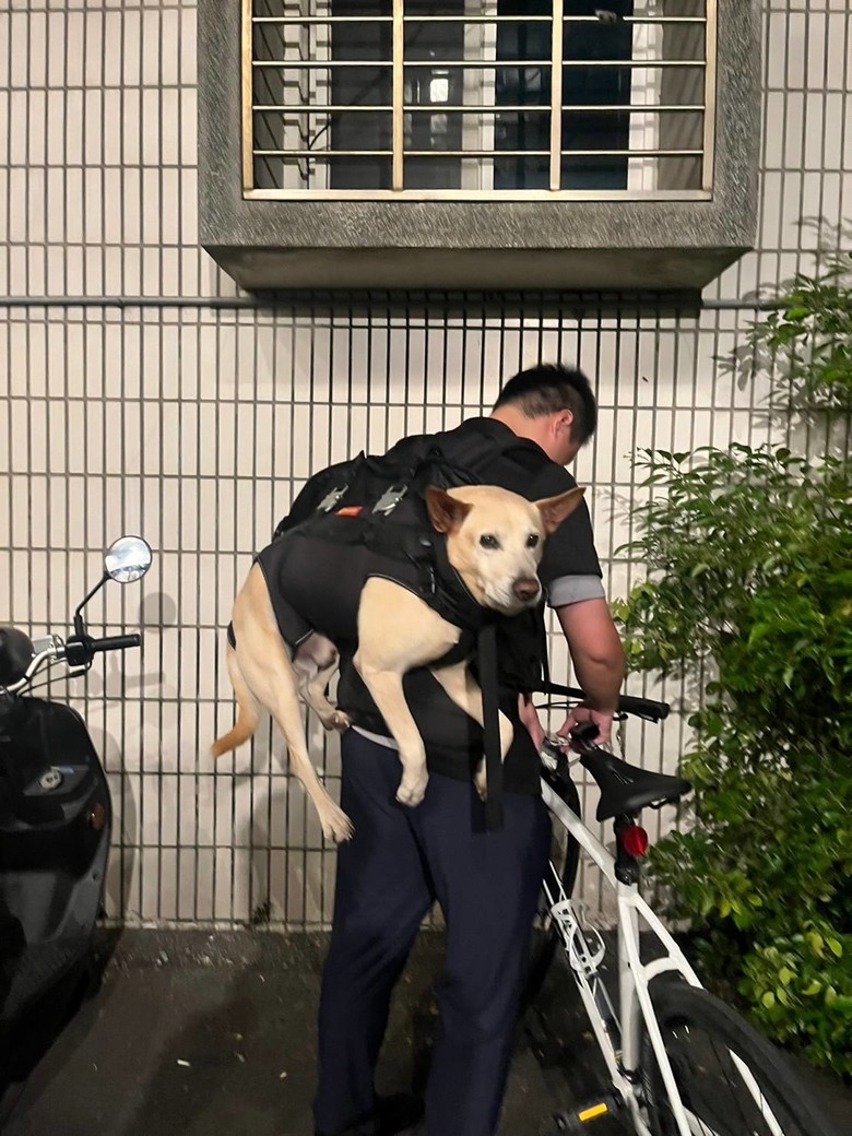 新手想問有載大型犬騎單車單日百公里左右的車友配置