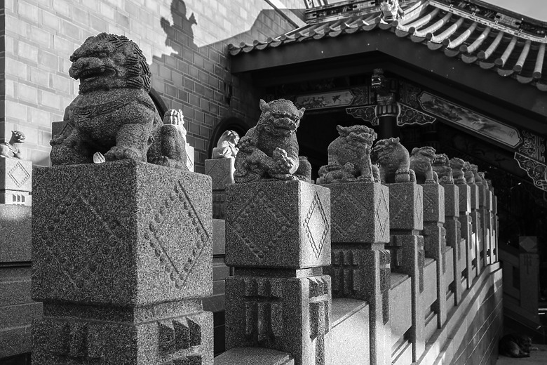久違的台灣 《Fujifilm X-T5, 23&56 2代》