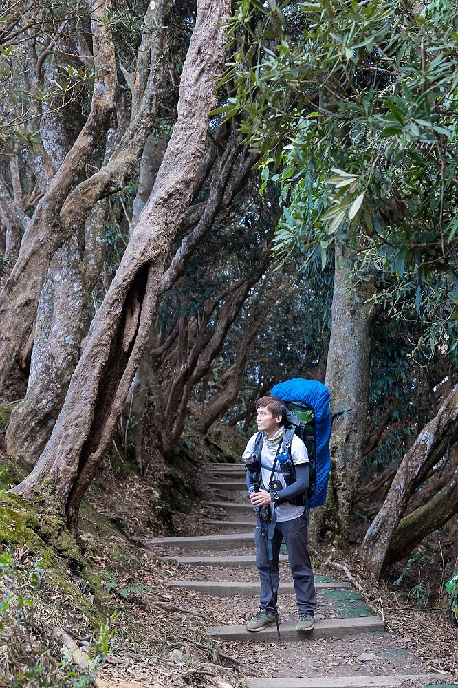 點我看大圖 雲海的故鄉 北大武山 (圖多)