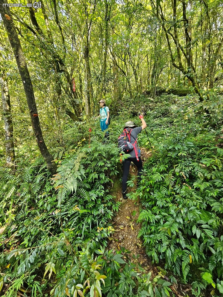 宜蘭古魯林道之大元國小。原始山徑二訪。