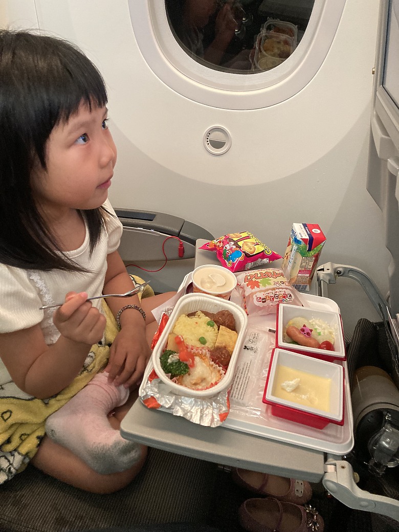 日規3代Alphard親子自駕之東北櫻花之旅