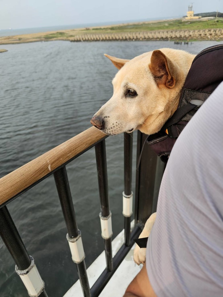 新手想問有載大型犬騎單車單日百公里左右的車友配置