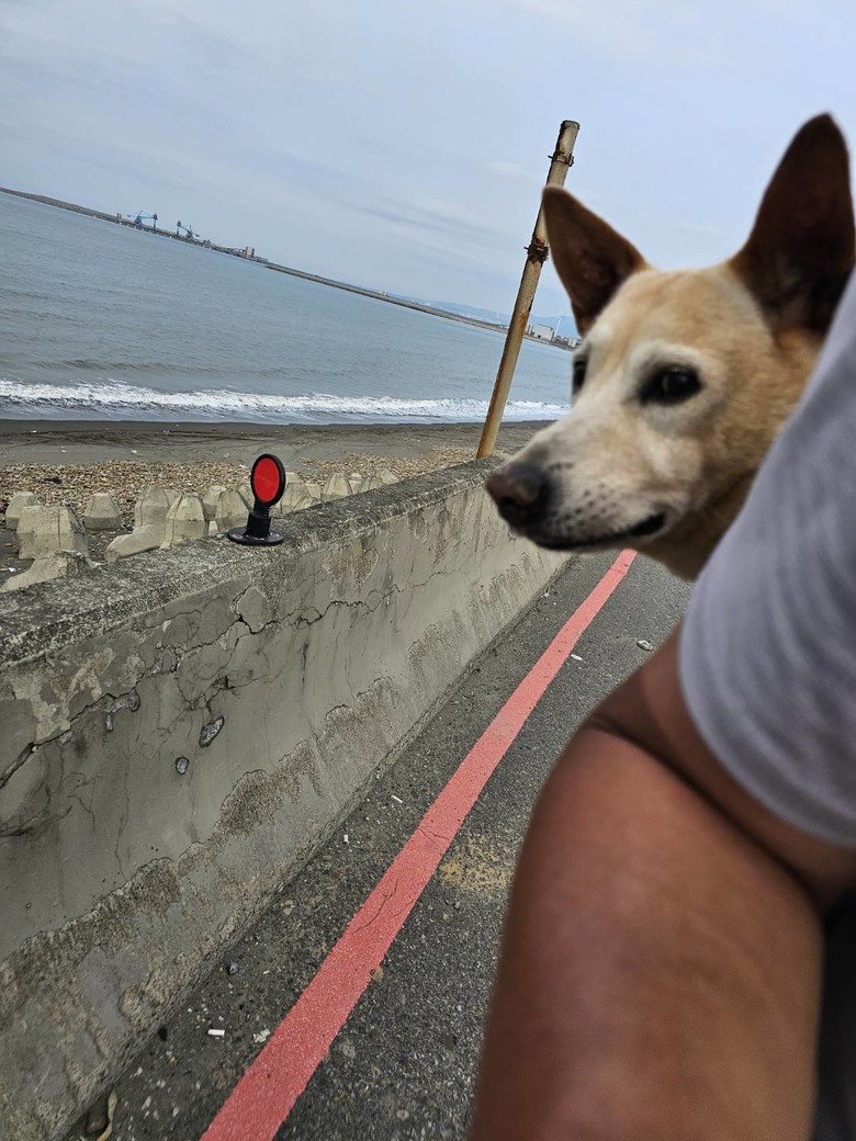 新手想問有載大型犬騎單車單日百公里左右的車友配置