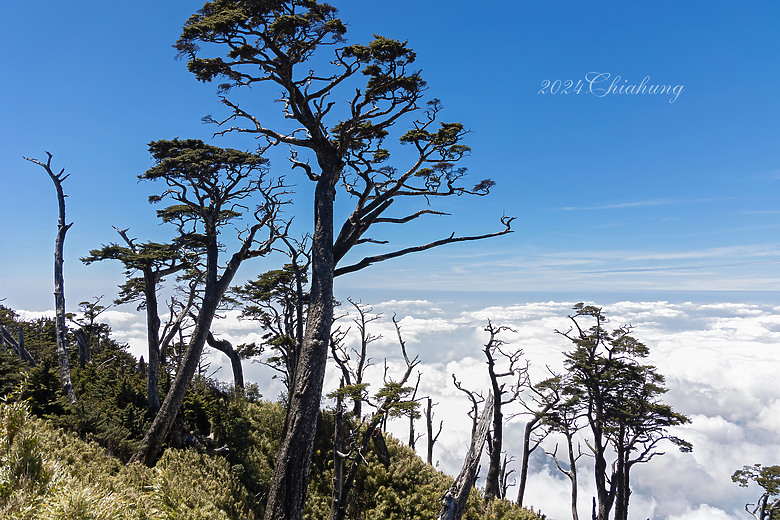 點我看大圖 雲海的故鄉 北大武山 (圖多)