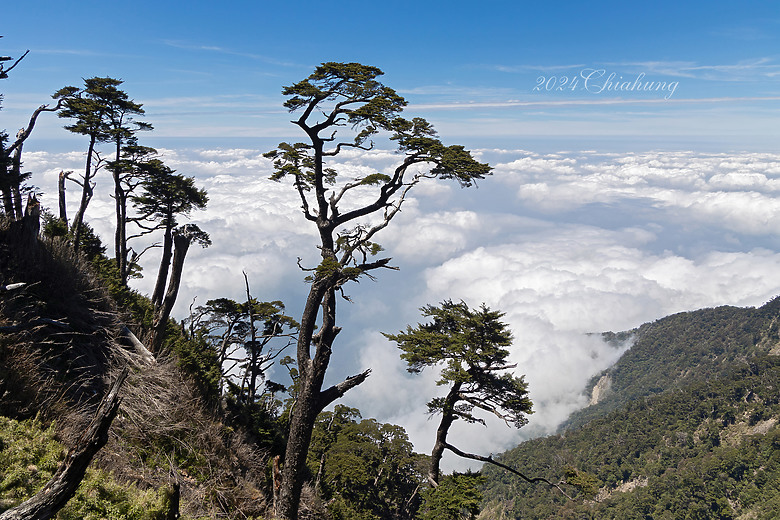 點我看大圖 雲海的故鄉 北大武山 (圖多)