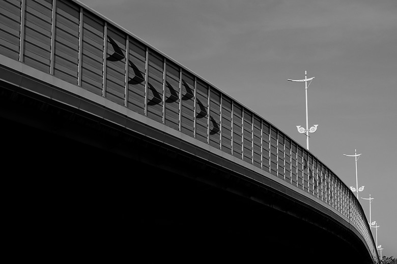 久違的台灣 《Fujifilm X-T5, 23&56 2代》