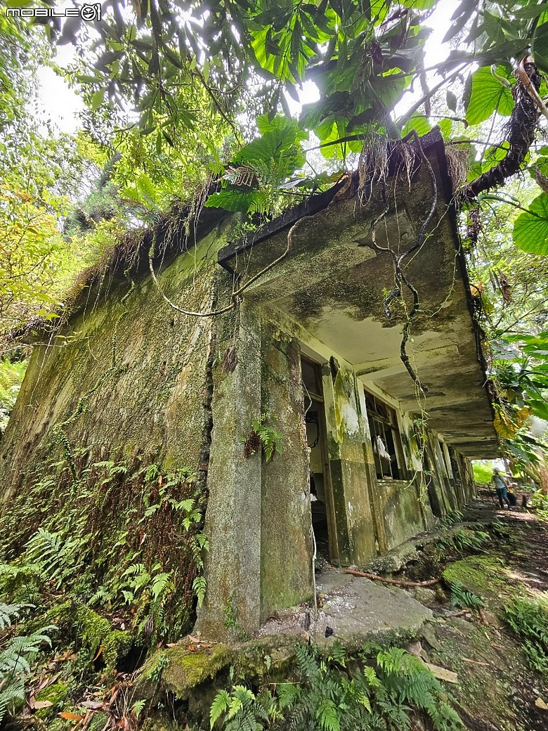 宜蘭古魯林道之大元國小。原始山徑二訪。