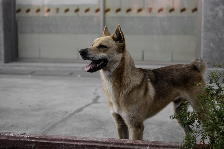 久違的台灣 《Fujifilm X-T5, 23&56 2代》