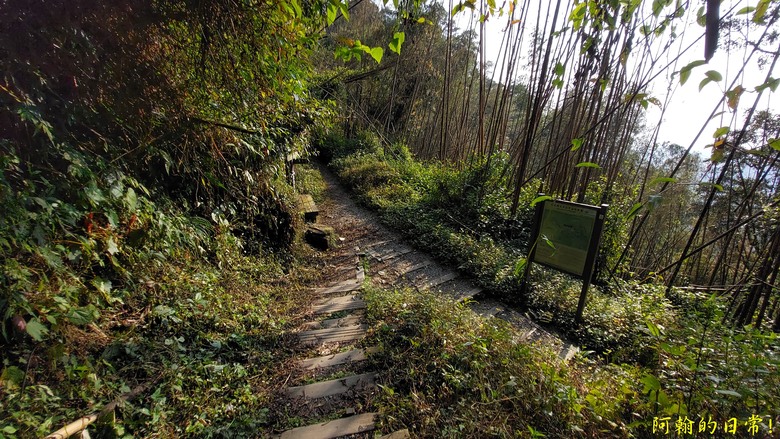 奮起湖的小百岳國家森林步道 大凍山