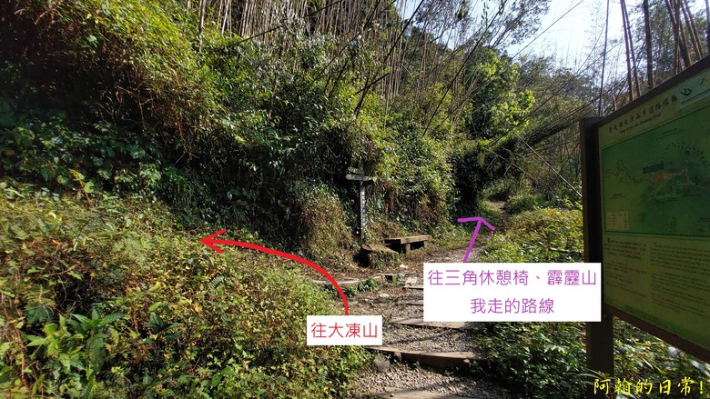 奮起湖的小百岳國家森林步道 大凍山