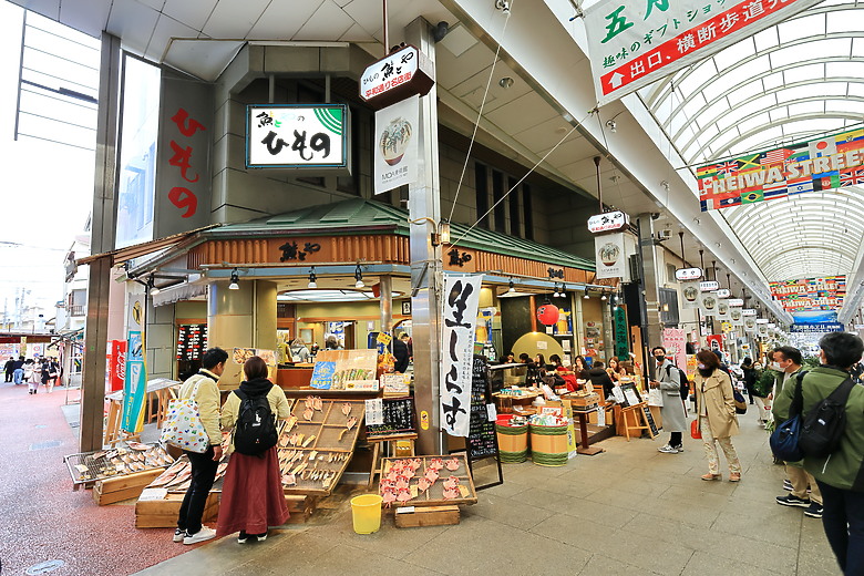 (映像旅行) 到伊豆半島賞河津櫻、看水豚君泡溫泉in日本熱海、伊東、河津 feat. Canon EOS R6 Mark II