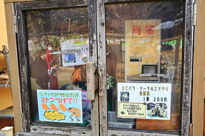 (映像旅行) 到伊豆半島賞河津櫻、看水豚君泡溫泉in日本熱海、伊東、河津 feat. Canon EOS R6 Mark II