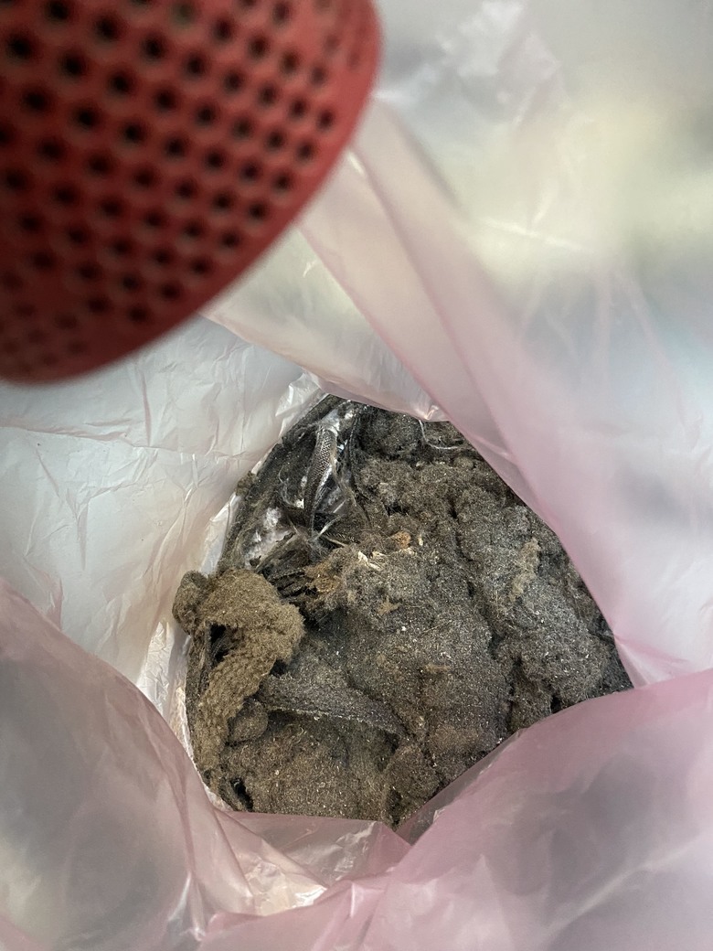 整理跑步機時，還以為看到蛇…嚇了一跳！