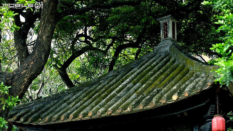 嶺南名園之首-順德大良清暉園