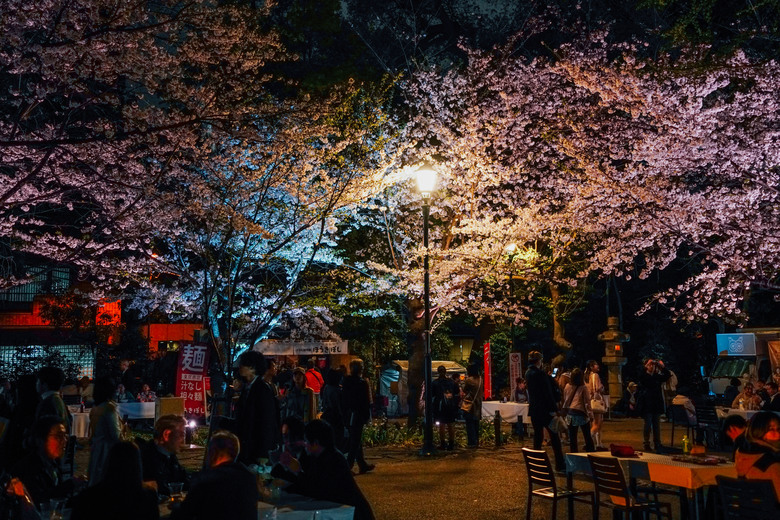 2024 東京四天三夜賞櫻快閃之旅
