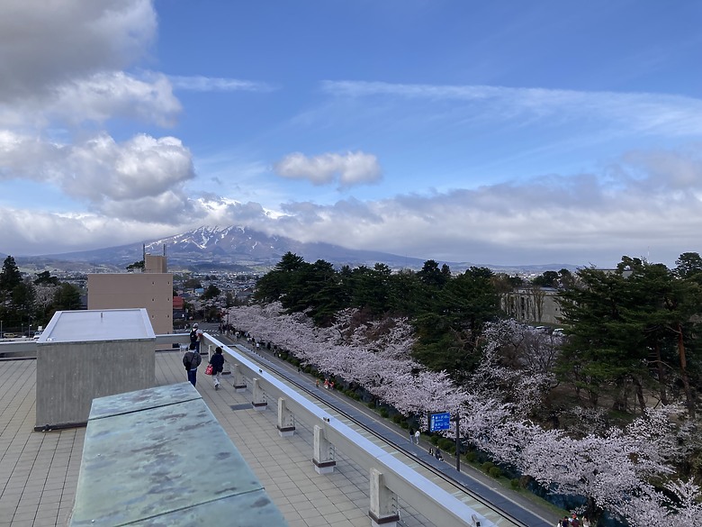 日規3代Alphard親子自駕之東北櫻花之旅