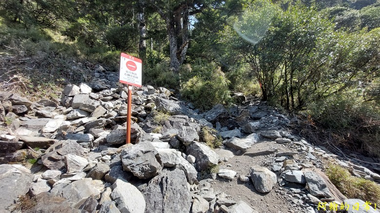 挑戰陡陡刺激石瀑 攻頂 玉山前峰 必經之路