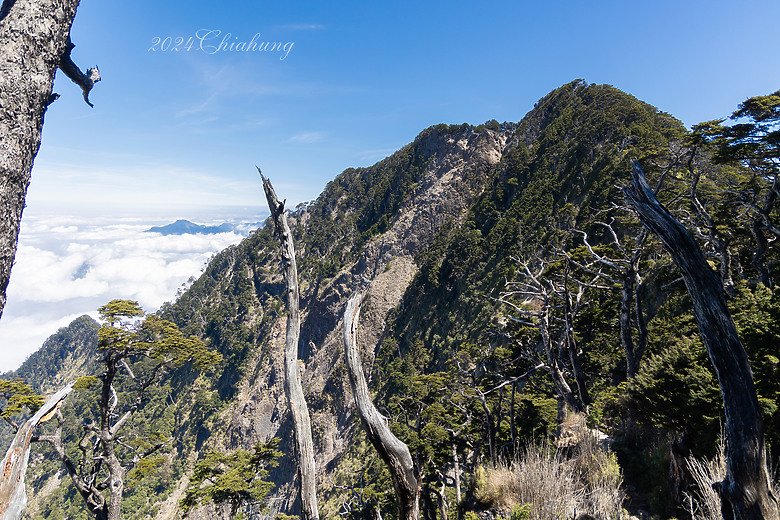 點我看大圖 雲海的故鄉 北大武山 (圖多)